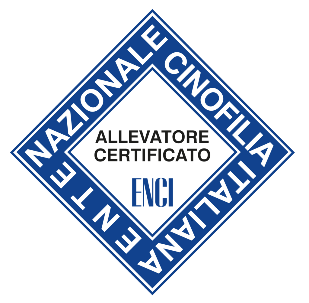 Allevamento certificato enci